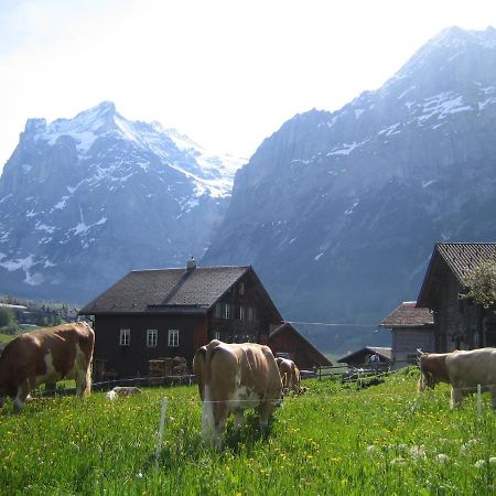 Chalet Baergblick Grindelwald Buitenkant foto