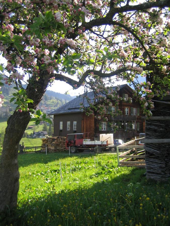 Chalet Baergblick Grindelwald Buitenkant foto
