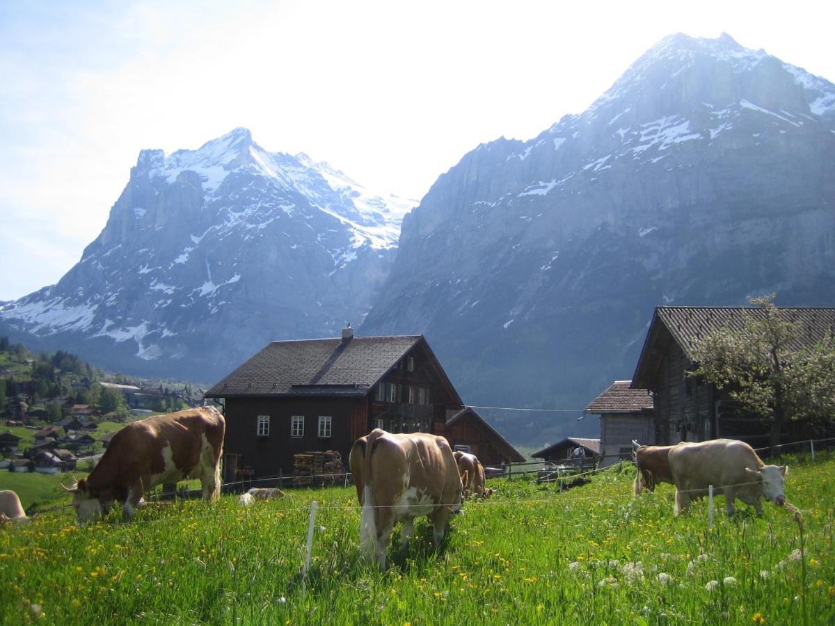 Chalet Baergblick Grindelwald Buitenkant foto