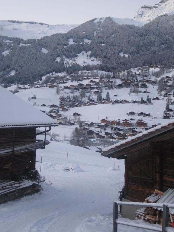 Chalet Baergblick Grindelwald Kamer foto