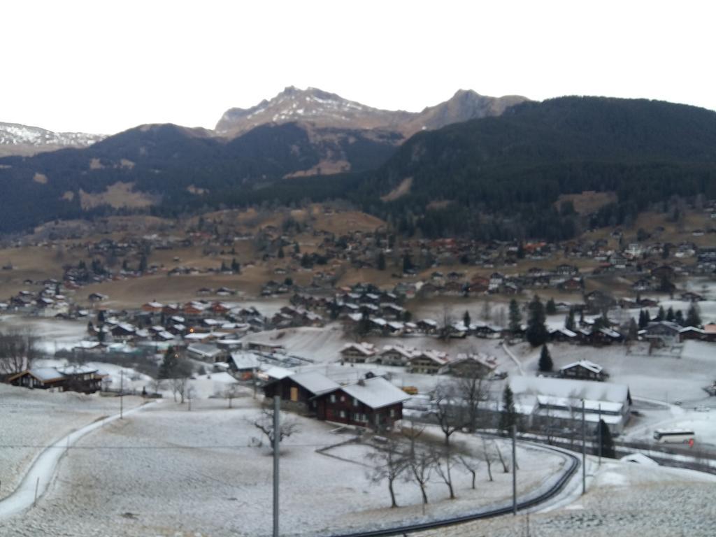 Chalet Baergblick Grindelwald Buitenkant foto
