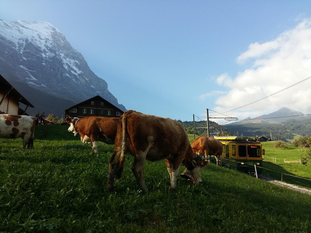 Chalet Baergblick Grindelwald Buitenkant foto